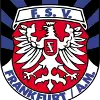 FSV法兰克福U19