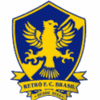 热特巴西U19